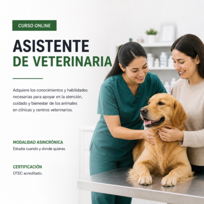 CURSO ASISTENTE DE VETERINARIA